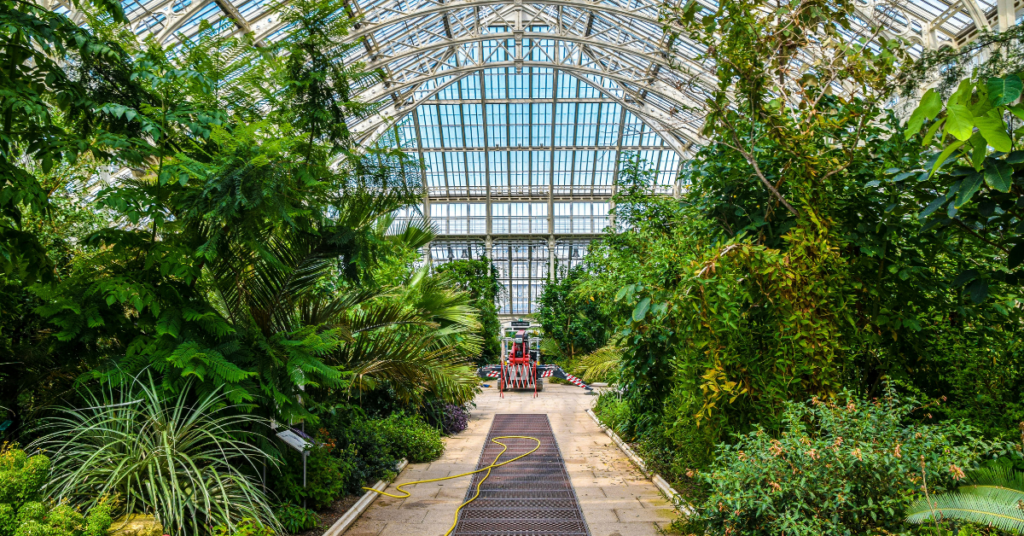 First Date Ideas London 2026 – 12 Romantic and Fun Places That Will Make Your Date Memorable Stroll through Kew Gardens